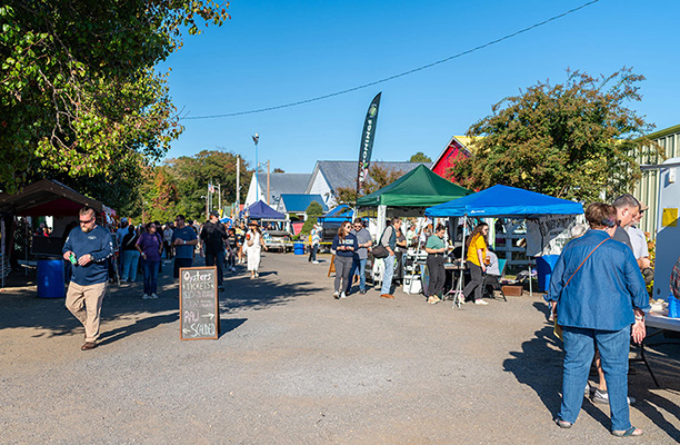 Oyster festival program