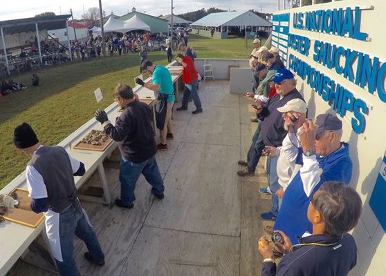 oyster festival shucking contest